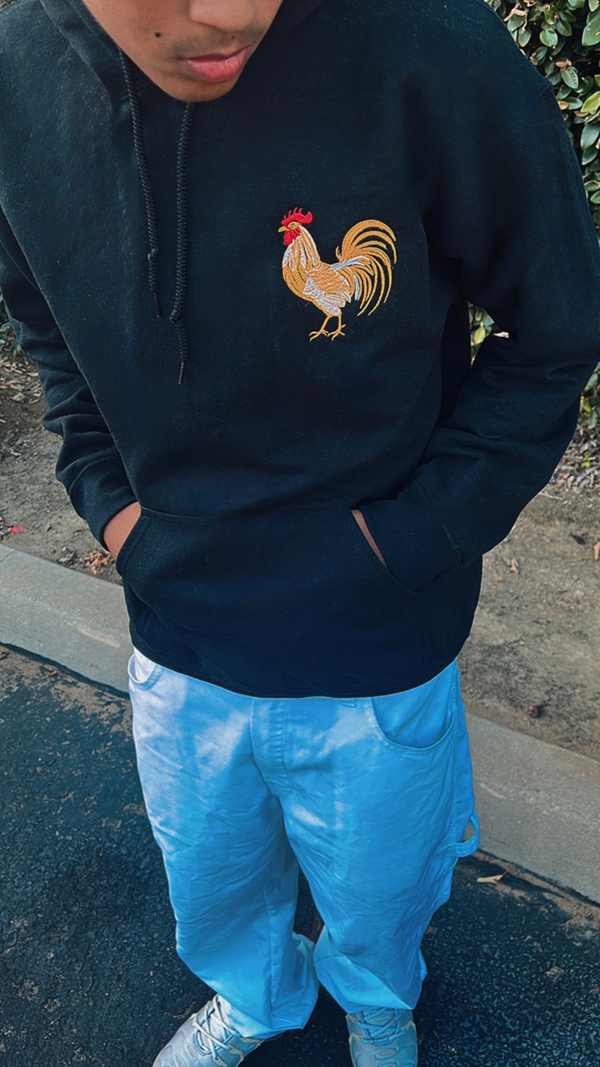 Gallo