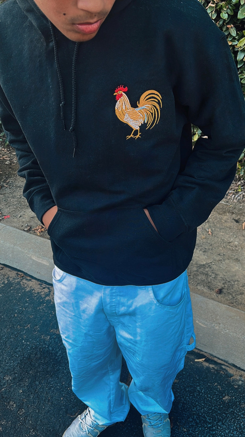 Gallo